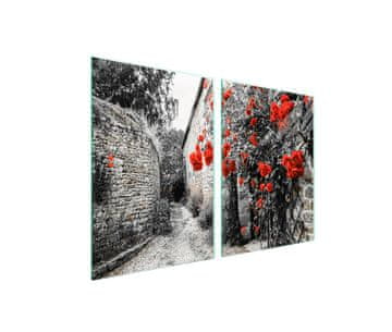 shumee Zaščita za stekleno kuhalno ploščo 2x45x52 Roses