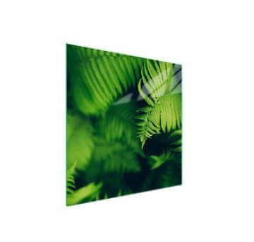 shumee Steklena zaščitna plošča za štedilnik 50x52 Leaf