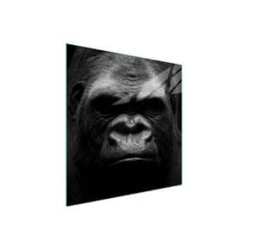 shumee Steklena zaščita za kuhalno ploščo 50x52 Gorilla