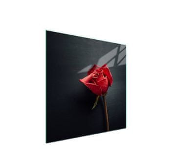 shumee Steklena zaščitna plošča za štedilnik 50x52 Rose