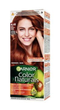 Garnier Barva GAR color N Barva št. 6.41 Zlato jantarna&