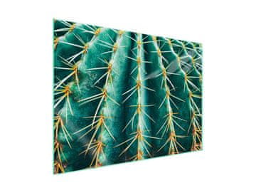 shumee Steklena zaščita za kuhalno ploščo 70x52 Cactus