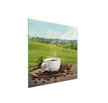 shumee Steklena zaščita za kuhalno ploščo 50x52 Coffee