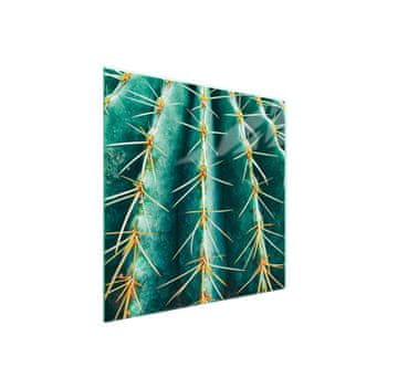 shumee Steklena zaščita za kuhalno ploščo 50x52 Cactus