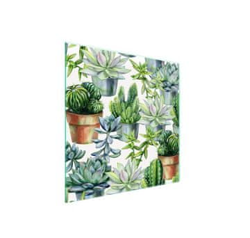 shumee Steklena zaščita za kuhalno ploščo 50x52 Cactus