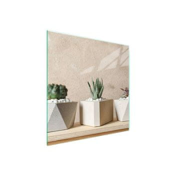shumee Steklena zaščita za kuhalno ploščo 50x52 Cactus