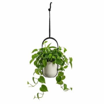 shumee Viseči sadilnik Aera Hang Recycling bež 17,9 cm