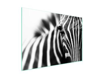 shumee Zaščita za stekleno kuhalno ploščo 70x52 Zebra