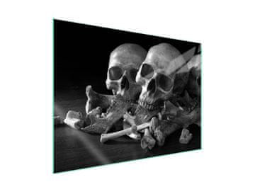 shumee Steklena zaščita za kuhalno ploščo 70x52 Skull