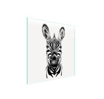 shumee Zaščita za stekleno kuhalno ploščo 50x52 Zebra