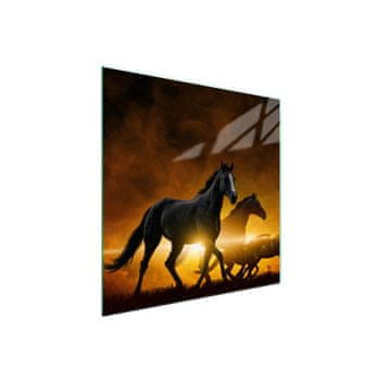 shumee Steklena zaščita za kuhalno ploščo 50x52 Horse