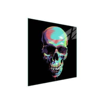shumee Steklena zaščita za kuhalno ploščo 50x52 Skull