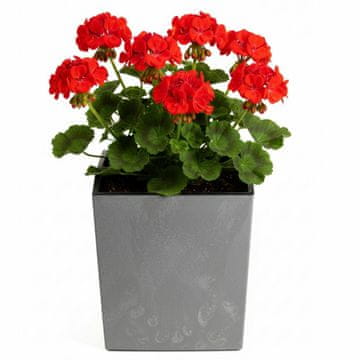 shumee Flore siv betonski cvetlični lonček v30,5x29,5x29,5 cm
