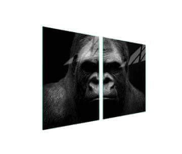 shumee Steklena zaščitna plošča za štedilnik 2x45x52 Gorilla