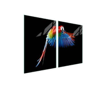 shumee Steklena zaščitna plošča za štedilnik 2x45x52 Parrot
