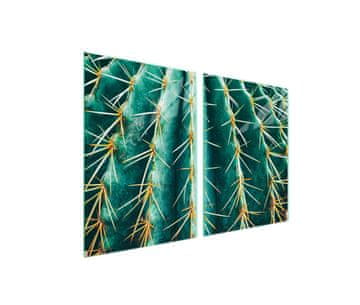 shumee Steklena zaščitna plošča za štedilnik 2x45x52 Cactus