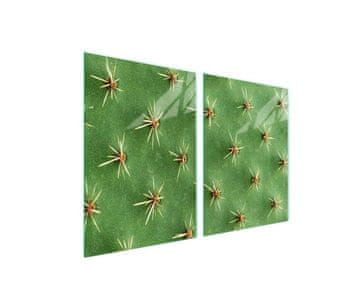 shumee Steklena zaščitna plošča za štedilnik 2x45x52 Cactus