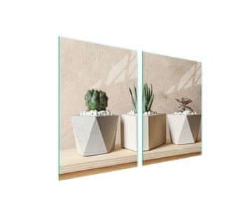 shumee Steklena zaščitna plošča za štedilnik 2x45x52 Cactus