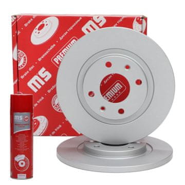 Master-Sport Sprednji zavorni diski 24011301841PR-PCS-MS | 2 kosa