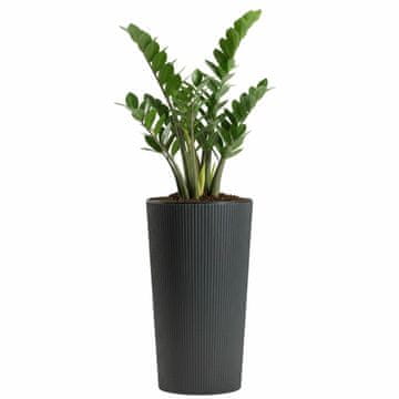 shumee Urbanika ECO cvetlični lonček antracit v46,6x25,5 cm