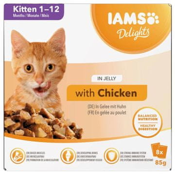 IAMS IAMS Delights Junior v želeju - mokra hrana za mačke - 8 x 85 g