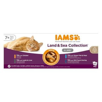 IAMS IAMS Senior Meso & Ribe v želeju - mokra hrana za mačke - 48 x 85 g