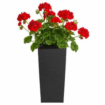 shumee Cvetlični lonec Porto Riflo črne barve, višina 36 x 19 x 19 cm