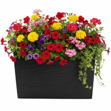 shumee Cvetlični lonček Bloom Riflo črne barve, višina 36,2 x 56,1 cm