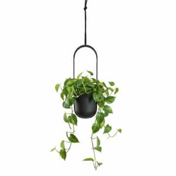 shumee Viseči cvetlični lonček Aera Hang Recycling antracit 17,9 cm