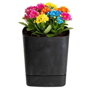 shumee Cubi recikliran črn betonski cvetlični lonček s krožnikom 19x19 cm