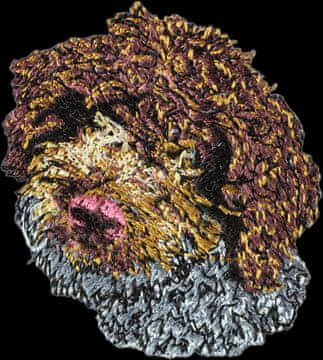 Artdog Lagotto Romagnolo - našitek v obliki psa, vezen našitek, edinstven okras za nahrbtnik znamke Art-Dog