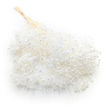 shumee Stabilizirana gipsofila - (gipsofila) - kraljevski šopek - beljena