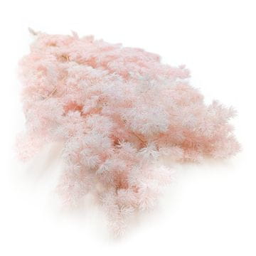 shumee Stabilizirani beluši - Ming Fern - pastelno roza