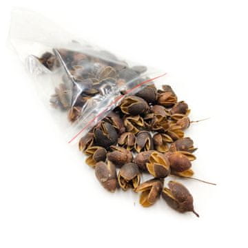 shumee Bakuli Natural - eksotično suho sadje - 100 g
