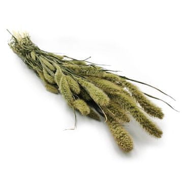 shumee Setaria (Setarea) Natural Green - šopek