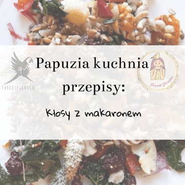 shumee PaPuzia Kitchen ParrotPlanet - koruzni klasji s testeninami - Avtorjev recept Adzioszki s Parrot Disaster