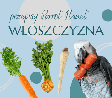 shumee ParrotPlanet Parrot Kitchen - 4 barve v prehrani za papige - avtorjev recept Adzioszke iz Parrot Disaster
