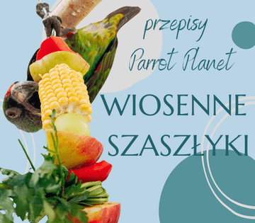 shumee ParrotPlanet's Parrot Kitchen - Spomladanski šiš kebabi - Avtorjev recept Adzioszki s papigo katastrofo