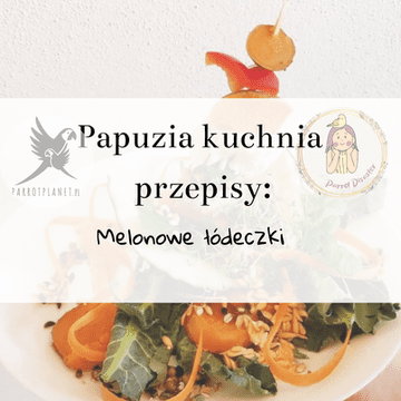 shumee ParrotPlanet's Parrot Kitchen - melonini čolnički - Adzioszkin originalni recept iz Parrot Disaster