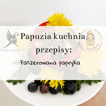shumee ParrotPlanet's Parrot Kitchen - polnjene paprike - Adzioszkin originalni recept iz Parrot Disaster