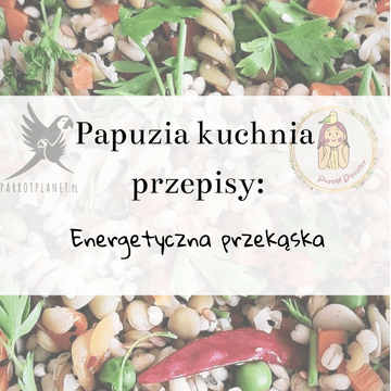 shumee PaPuzia Kitchen ParrotPlanet - energičen prigrizek - Avtorjev recept Adzioszki s Parrot Disaster
