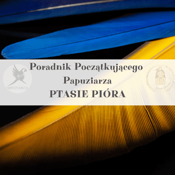 shumee Vodnik ParrotPlanet - Vodnik o papigah za začetnike - Papigino perje - resnica, skrita v peresu