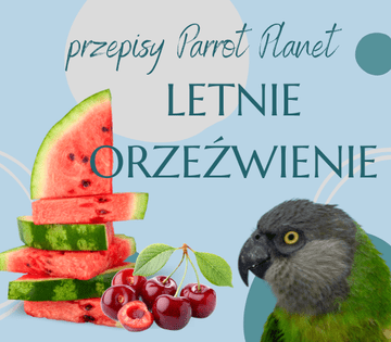 shumee Parrot Kitchen ParrotPlanet - Poletna osvežitev - Avtorjev recept Adzioszka s papigo katastrofo