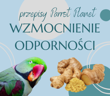 shumee ParrotPlanet Parrot Kitchen - Krepitev imunosti - Avtorjev recept Adzioszka s papigo katastrofo