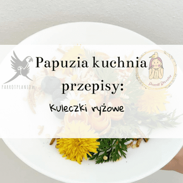 shumee ParrotPlanet's Parrot Kitchen - riževe kroglice - avtorjev recept Adzioszki iz Parrot Disaster