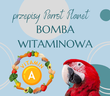 shumee ParrotPlanet Parrot Kitchen - vitaminska bomba - Adzioszkin avtorjev recept iz Parrot Disaster