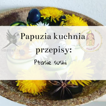 shumee ParrotPlanet's Parrot Kitchen - ptičji suši - Adzioszkin originalni recept iz Parrot Disaster
