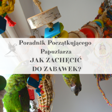 shumee Vodnik ParrotPlanet - KAKO SPODBUDITI SVOJO PAPIGO K IGRAČAM - Vodnik za začetnike o papigah