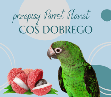shumee ParrotPlanet's Parrot Kitchen - NEKAJ DOBREGA - Avtorjev recept Adzioszke iz Parrot Disaster