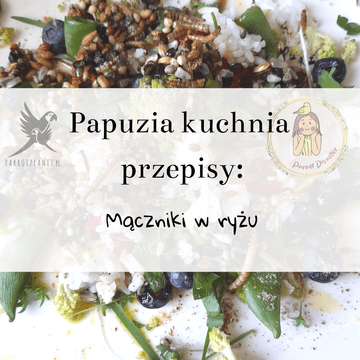 shumee PaPuzia Kitchen ParrotPlanet - mokarji v rižu - Avtorjev recept Adzioszki s Parrot Disaster